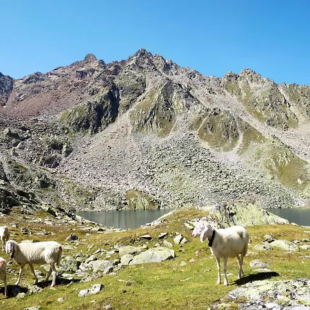 Apartment Diamant By Interhome *