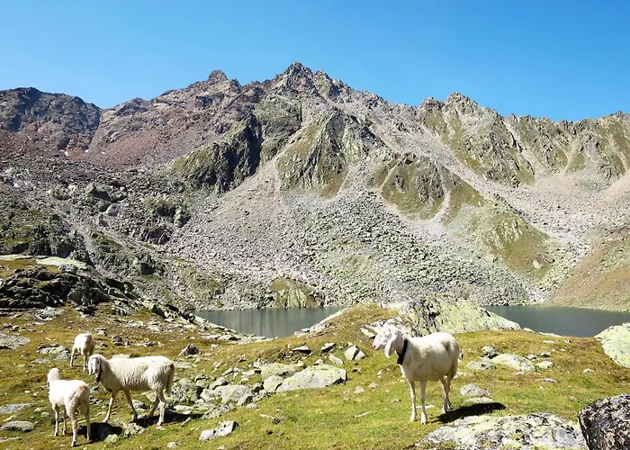 Apartment Diamant By Interhome *