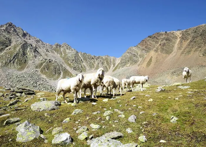 Apartment Diamant By Interhome